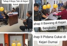 Dari Empat Kaus Pidana Kepabeanan, Bea Cukai Dumai Berhasil Selamatkan Kerugian Negara Sekitar Rp 700 Juta Lebih