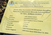 Kawasan Hutan Lindung Wisata Di Kelurahan Gurun Panjang Dialih Fungsikan Jadi Lahan Kelapa Sawit, APH Di Riau Kayaknya Belum Bertindak