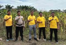 Dukung Ketahanan Pangan, Polsek TPTM Rutin Cek Tanaman Jagung Pipil hingga Masa Panen