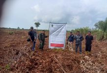 Dishut Pasang Plang Larangan Penguasaan Hutan Di Kawasan HP Tetap Yang Diduga Di Porak Porandakan Kusno