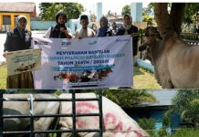 Sebagai Bukti Kepedulian Terhadap Lingkungan, Menejemen PT Pelindo Reg 1 Dumai Salurkan Beberapa Ekor Hewan Kurban