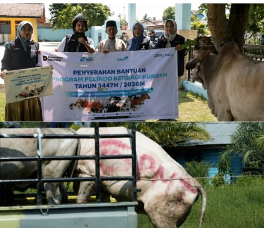 Sebagai Bukti Kepedulian Terhadap Lingkungan, Menejemen PT Pelindo Reg 1 Dumai Salurkan Beberapa Ekor Hewan Kurban