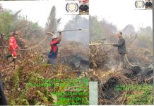 Diduga Diusir Pemegang HGU, Relawan Peduli Gambut Tak Berani Padamkan Karhutla di Mandor Jika Hanya Didampingi Manggala Agni