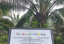 Implementasi Perpres No 5 Tahun 2025 di Dumai, Aktivitas di Areal Berplang PKH Masih Disorot