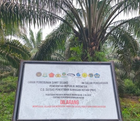 Implementasi Perpres No 5 Tahun 2025 di Dumai, Aktivitas di Areal Berplang PKH Masih Disorot