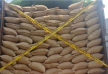 Dua Kali Lolos Penyelundupan Kacang Tanah Via Pelabuhan Dumai, Kinerja Bea Cukai dan TNI AL Dipertanyakan