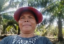 R Br Sianturi :Saya Selaku Orang Tua Salah Satu Mahasiswa Penerima Beasiswa BPDPKS Meminta Pemerintah Untuk Mrnutup Total Judol Dan Memohon Jangan Menghentikan Bantuan Anak Kami Hanya Karena Fitnah